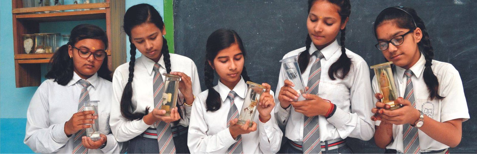 home-12-care-and-career-schools